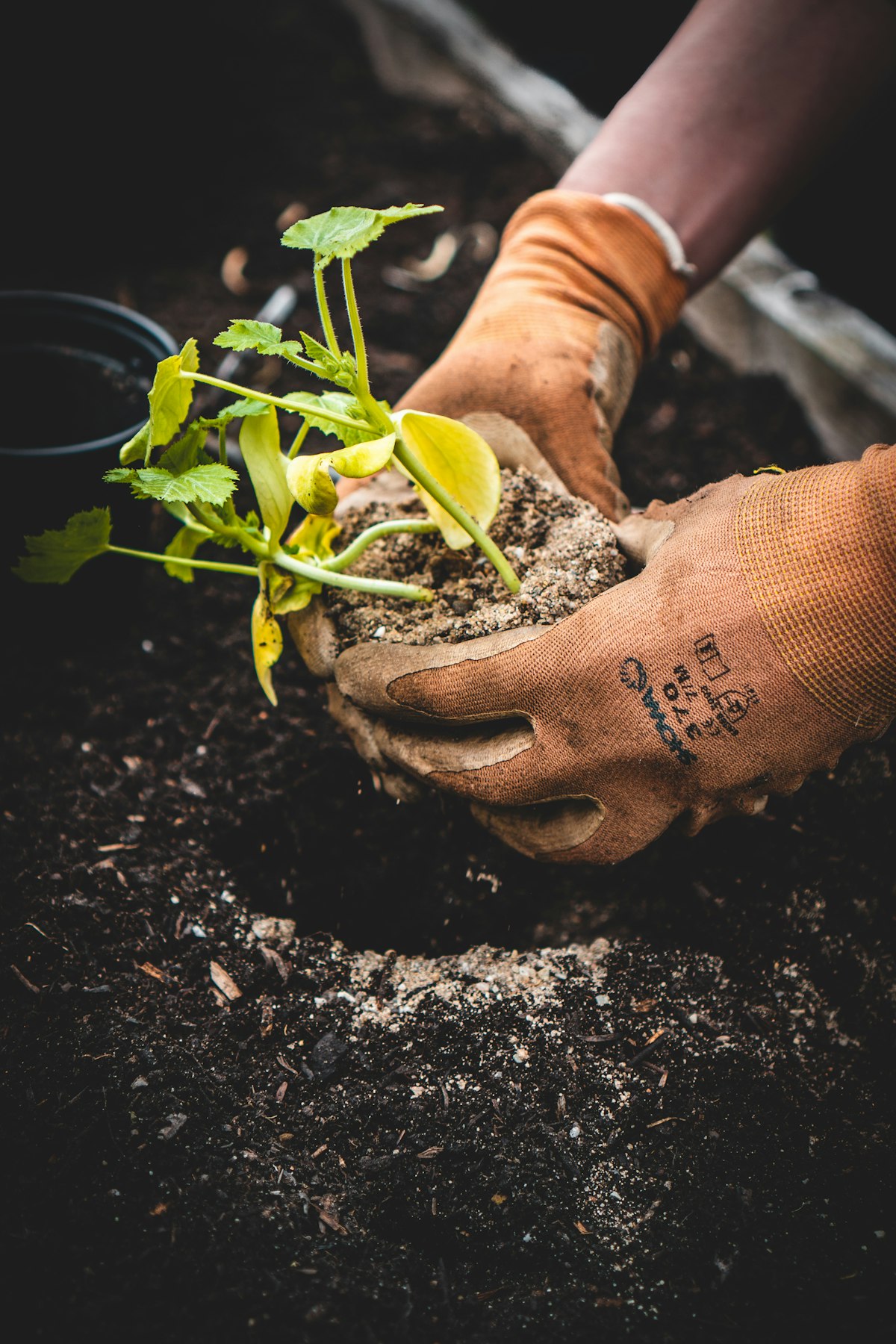 Gloved hands working soil for composting